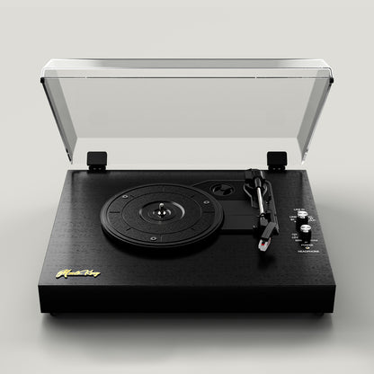 Vinyl Record Player with Built-in Speakers 