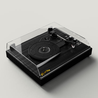 Vinyl Record Player with Built-in Speakers 