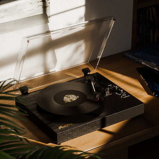 Vinyl Record Player with Built-in Speakers 